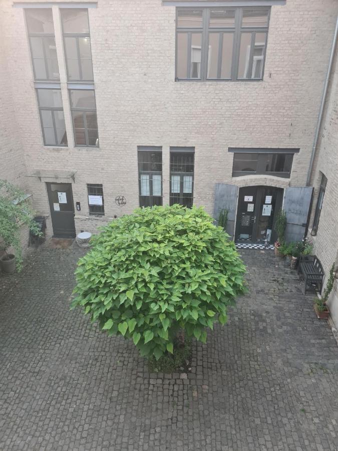 Loftapartment Im Historischen Fabrikambiente Geisenheim Exteriör bild